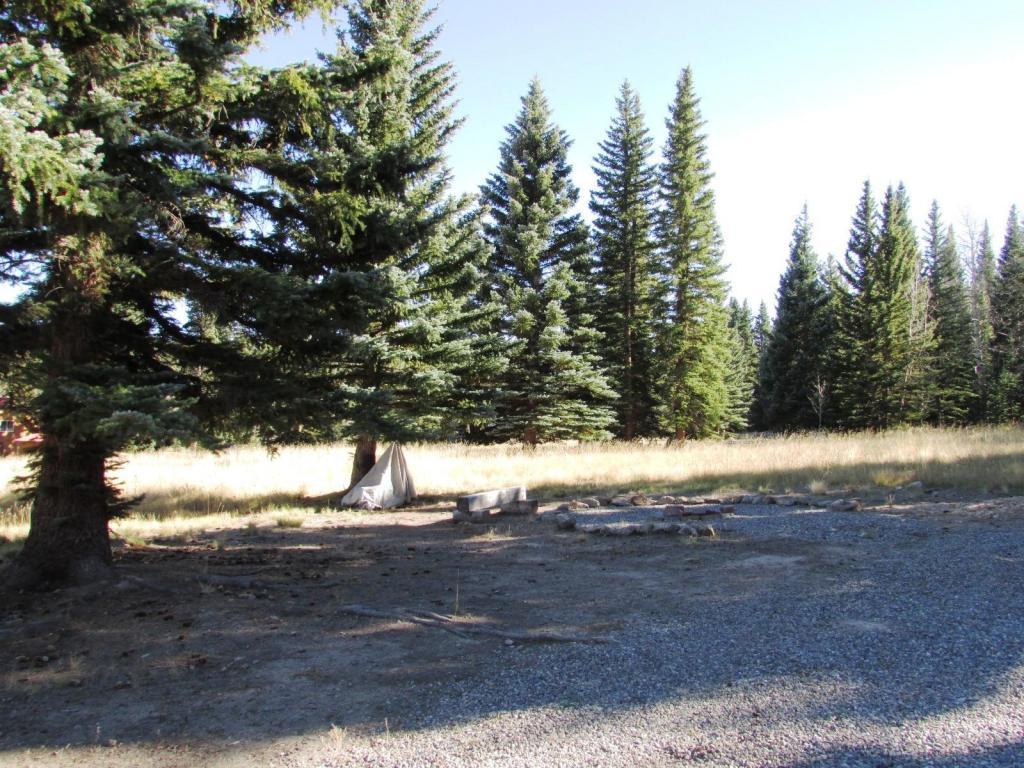 110 Balsam - Photo 1