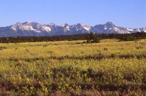TBD Ponderosa Drive - Photo 1