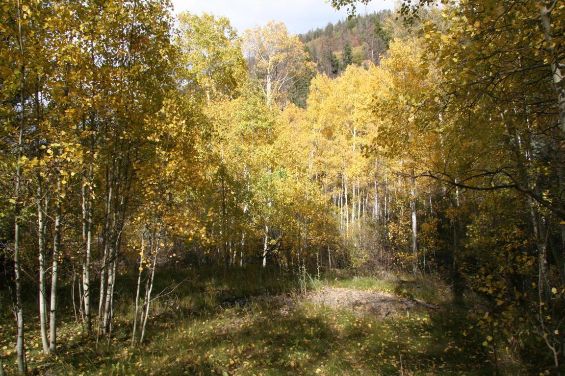 2600 Silver Pick Road - Photo 1