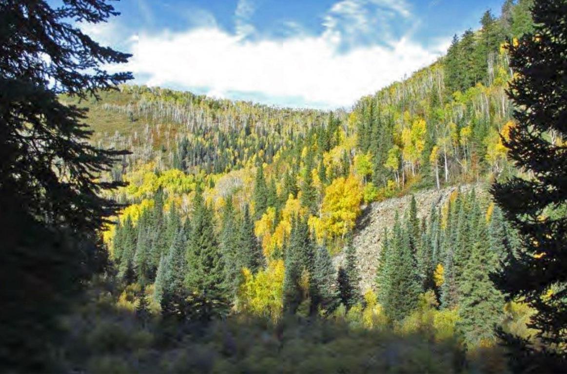 TBD Pinon Mesa - Photo 1