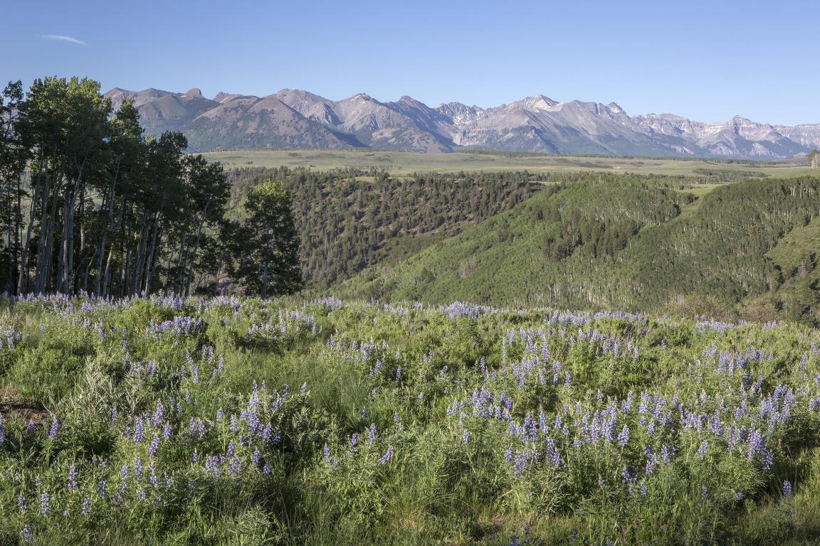 TBD Porcupine Road - Photo 1