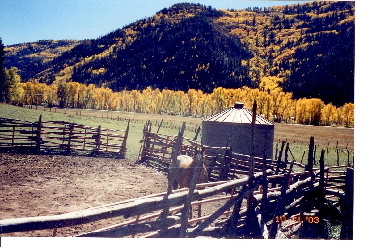 TBD Highway 145 - Photo 1