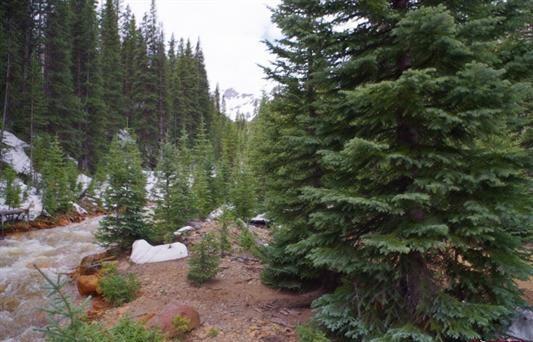 TBD Highway 550 - Photo 1