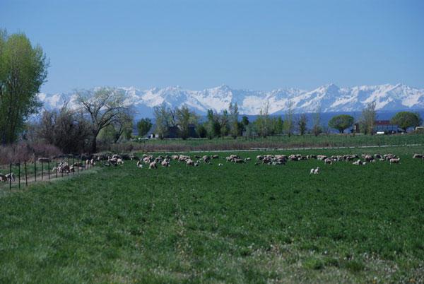 66527 Ogden - Photo 1