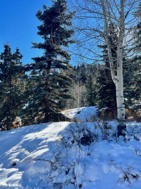 https://bt-photos.global.ssl.fastly.net/telluride/orig_boomver_1_42118-2.jpg
