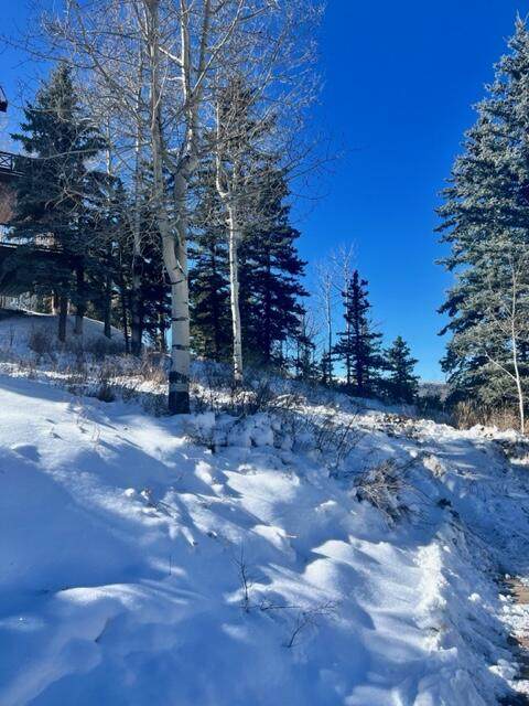https://bt-photos.global.ssl.fastly.net/telluride/orig_boomver_1_42118-2.jpg