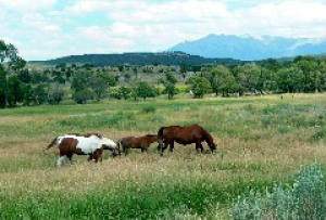 https://bt-photos.global.ssl.fastly.net/telluride/orig_boomver_1_44374-2.jpg