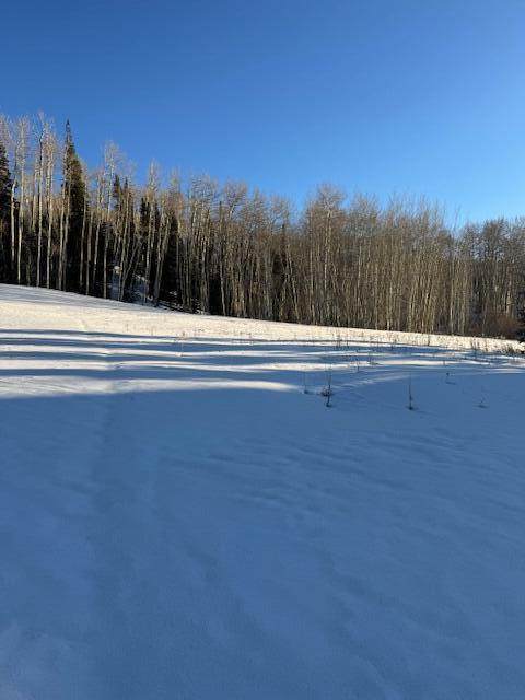 https://bt-photos.global.ssl.fastly.net/telluride/orig_boomver_1_44484-2.jpg