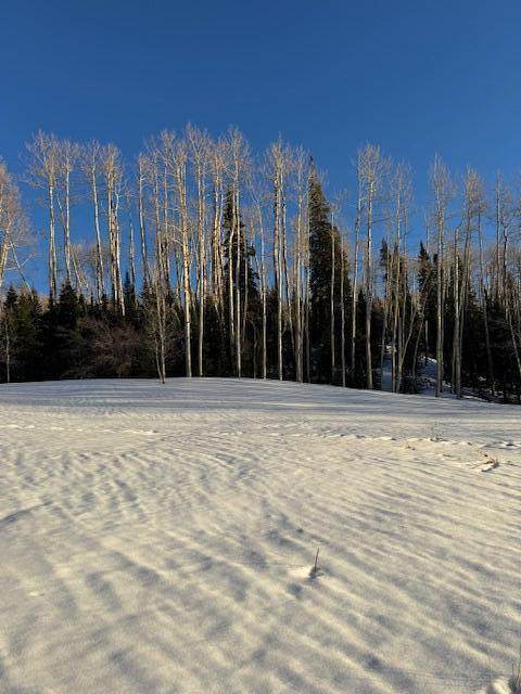 https://bt-photos.global.ssl.fastly.net/telluride/orig_boomver_1_44484-2.jpg