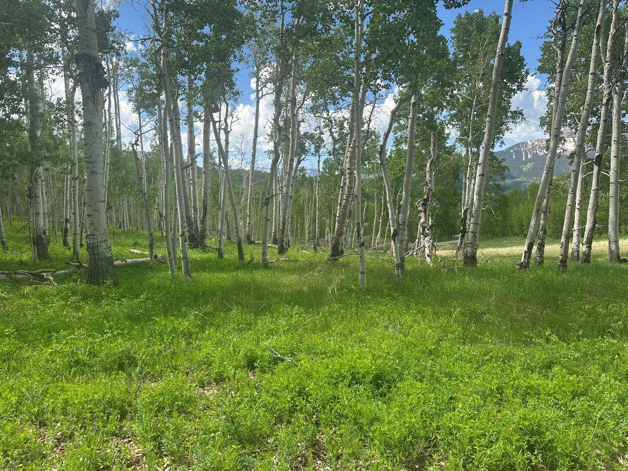 https://bt-photos.global.ssl.fastly.net/telluride/1280_boomver_1_44529-2.jpg