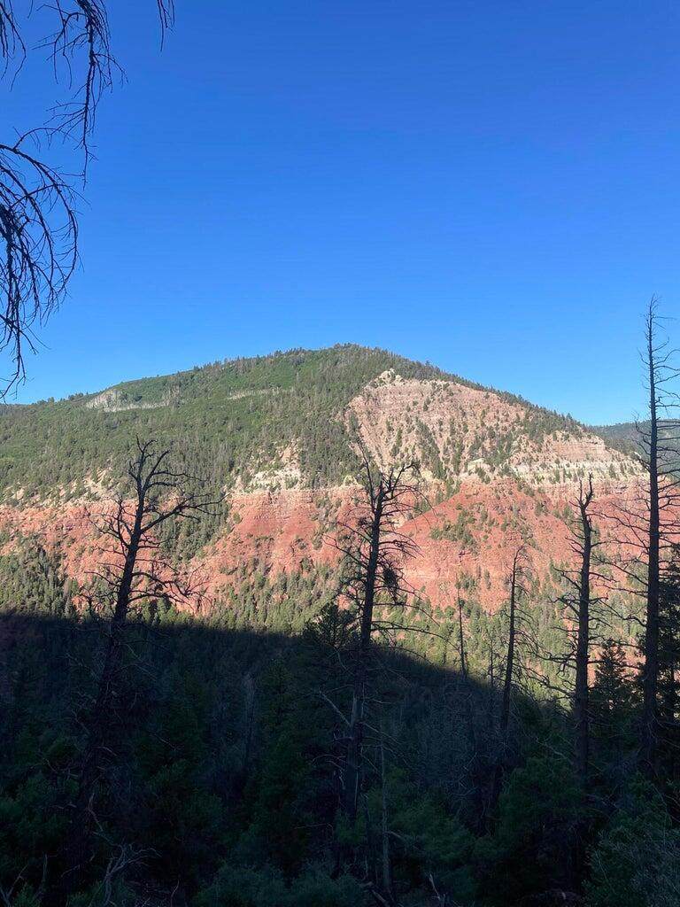 https://bt-photos.global.ssl.fastly.net/telluride/orig_boomver_1_44583-2.jpg