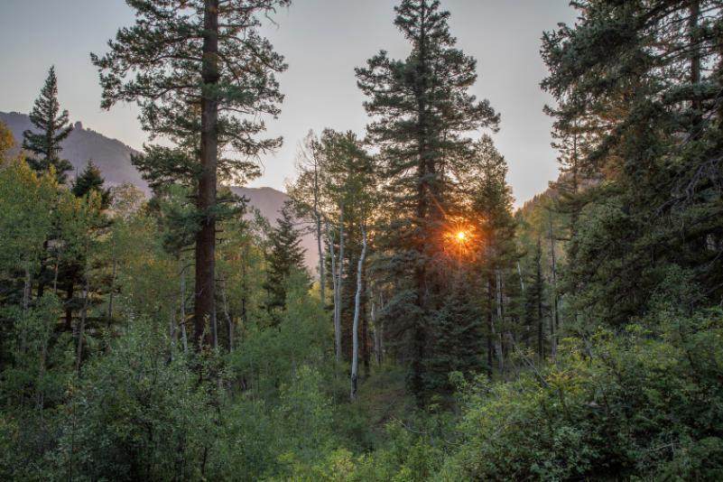 https://bt-photos.global.ssl.fastly.net/telluride/orig_boomver_1_44828-2.jpg