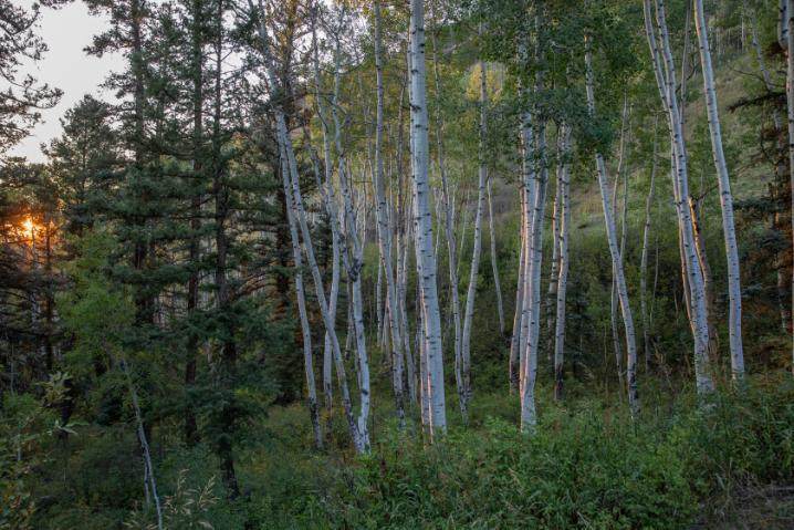 https://bt-photos.global.ssl.fastly.net/telluride/orig_boomver_1_44828-2.jpg