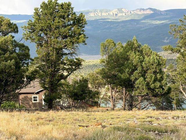 https://bt-photos.global.ssl.fastly.net/telluride/orig_boomver_1_44922-2.jpg
