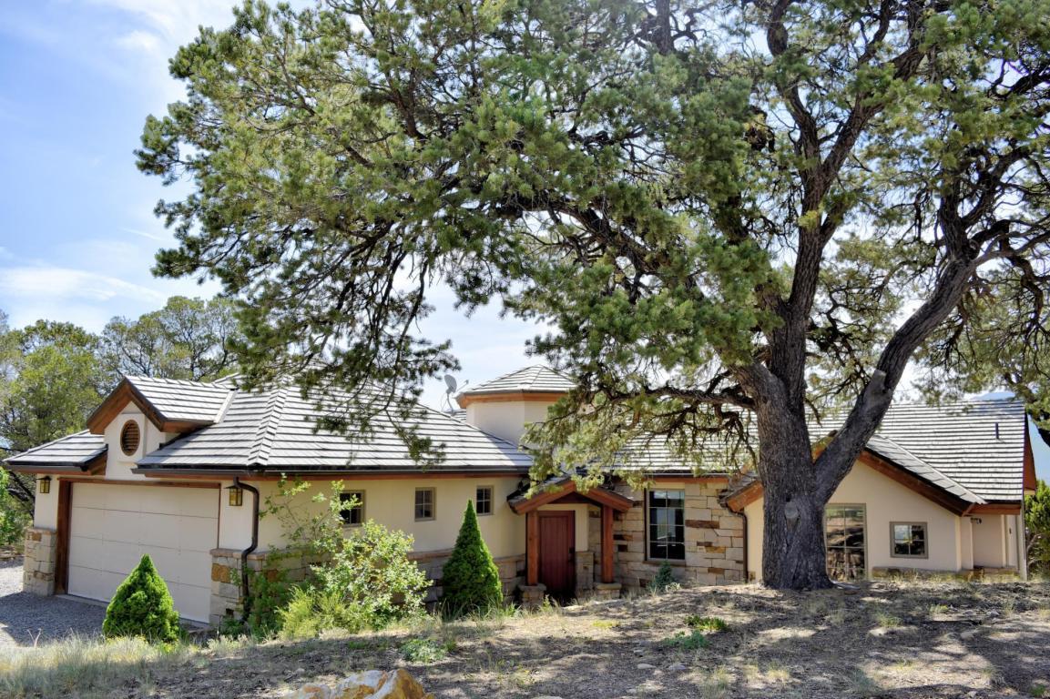 265 Courthouse Peak Lane - Photo 1