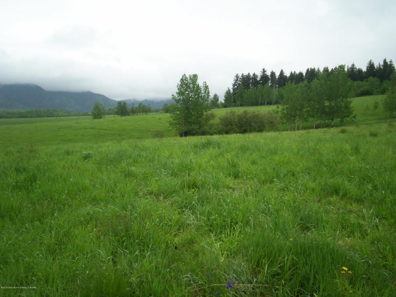 TBD Cottonwood Dr. - Photo 1