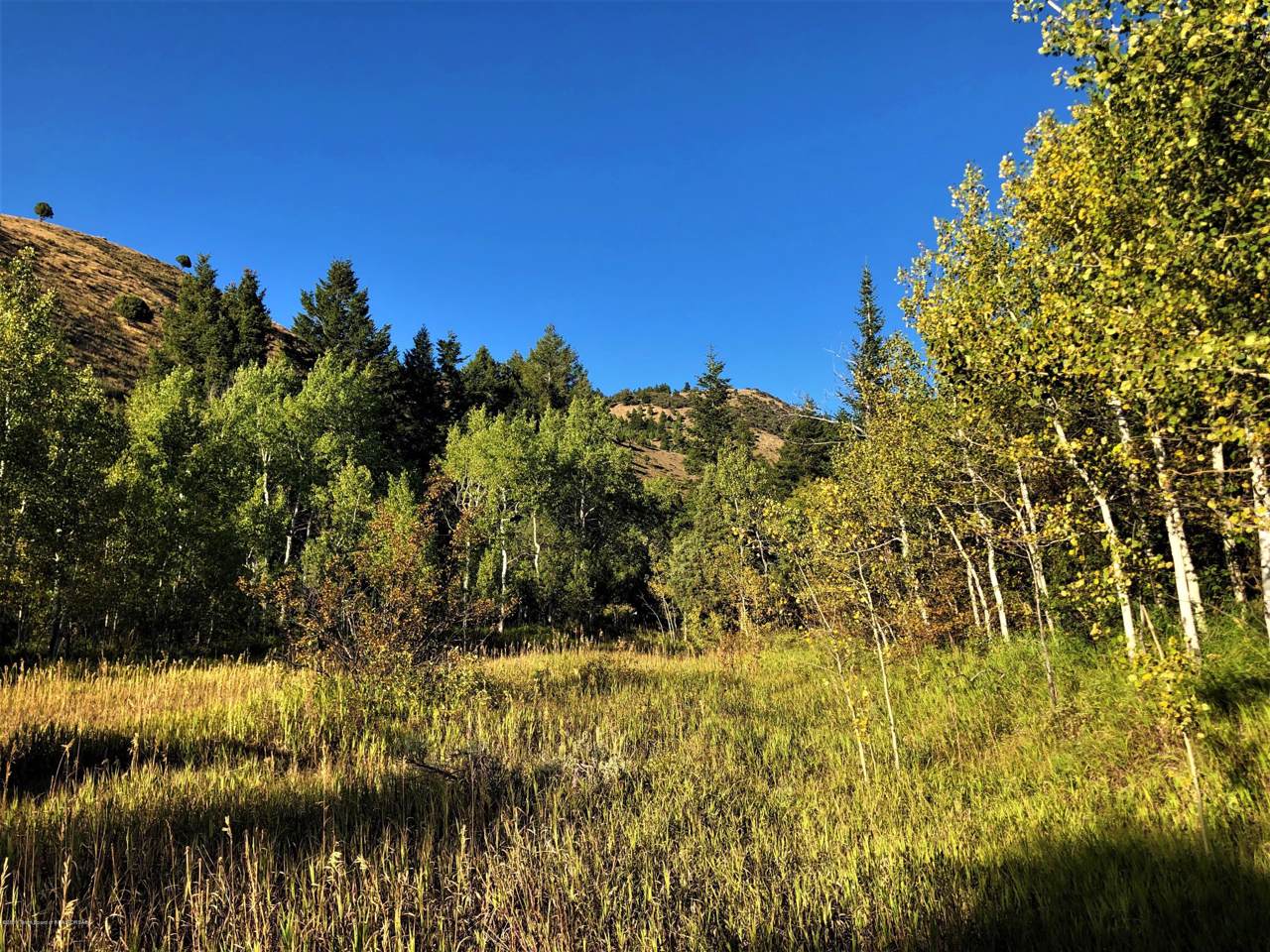 N/Y/A County Road 152 - Photo 1