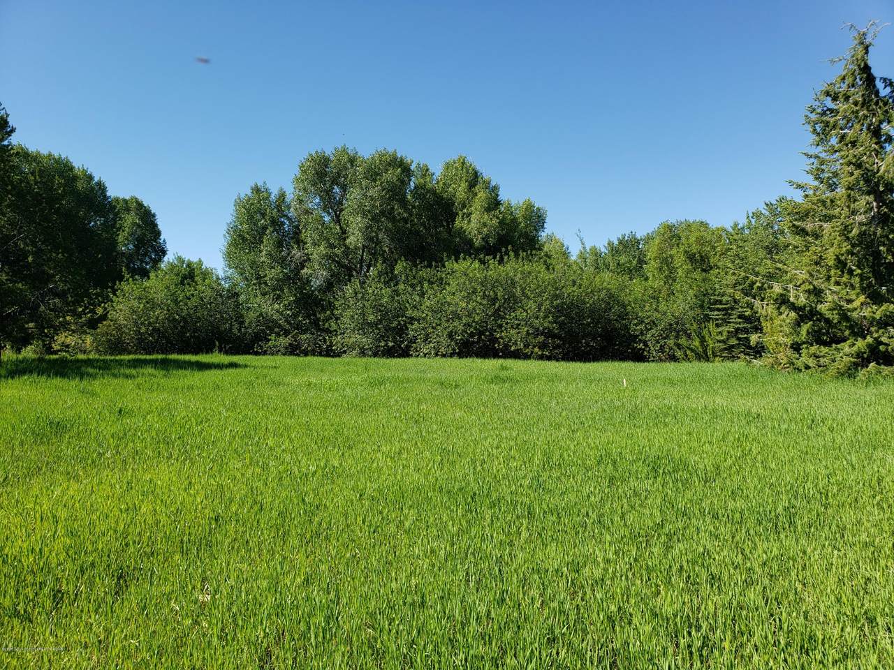 TBD 1000 E. - Photo 1