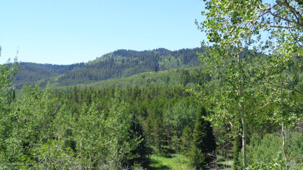 5450 Forest Ridge - Photo 1