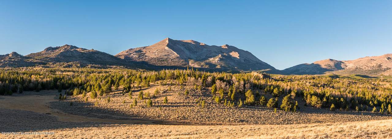 Tbd Blucher Creek Road - Photo 1