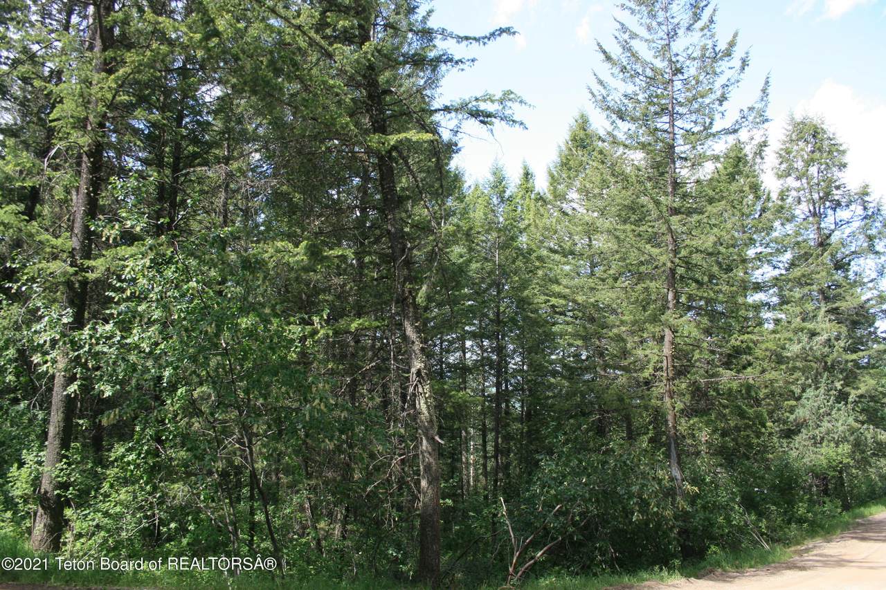 SVR PLAT 6 Lot 91 Oak Drive - Photo 1