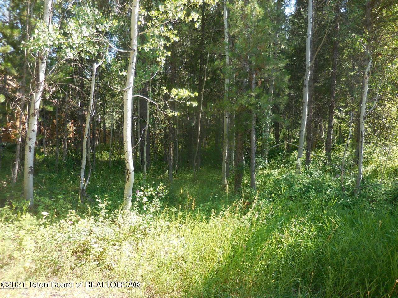 LOT 3 Pine Ct - Photo 1