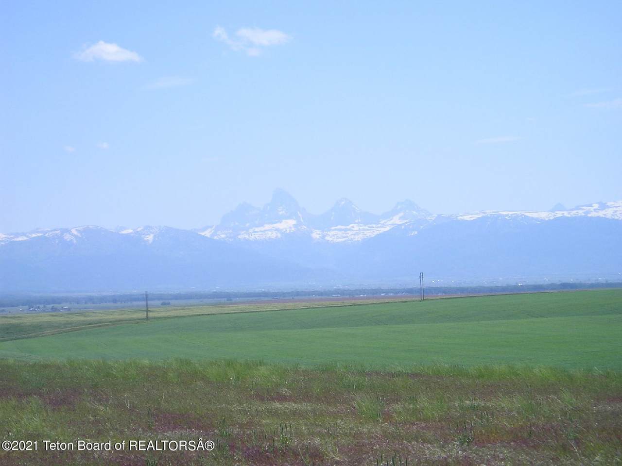 10155 Ditty - Photo 1