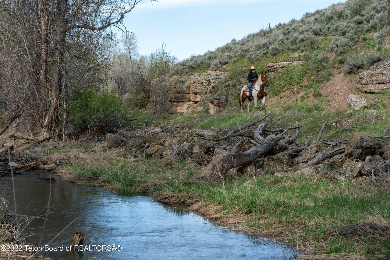 TBD Reece Rd. - Photo 1
