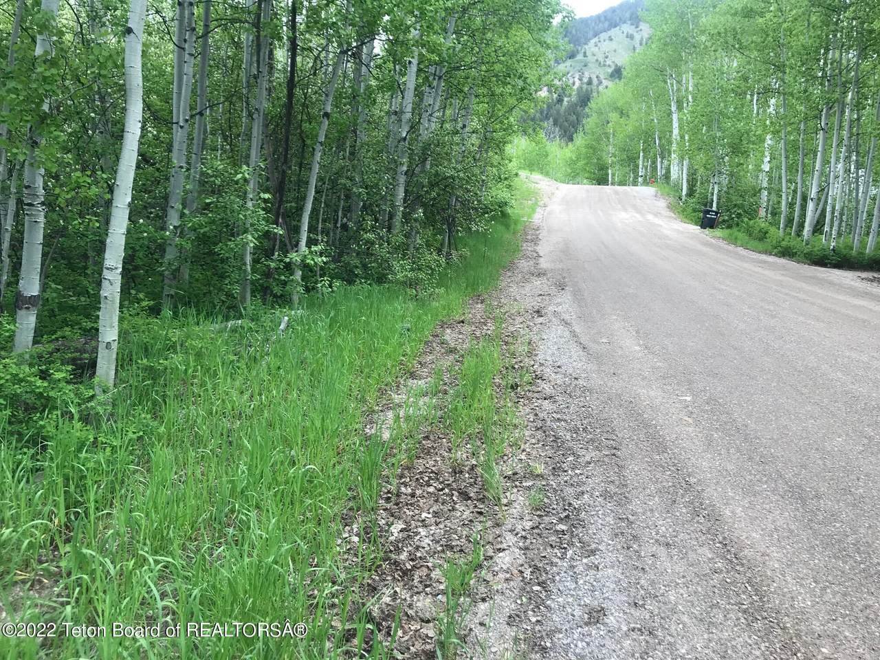 LOT 16 Walnut Drive - Photo 1