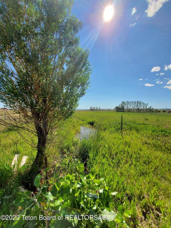 8 Zane Grey Place - Photo 1