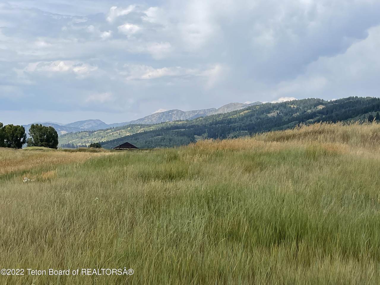 LOT 18 Salt River Cove/ Willow Lake Circle - Photo 1