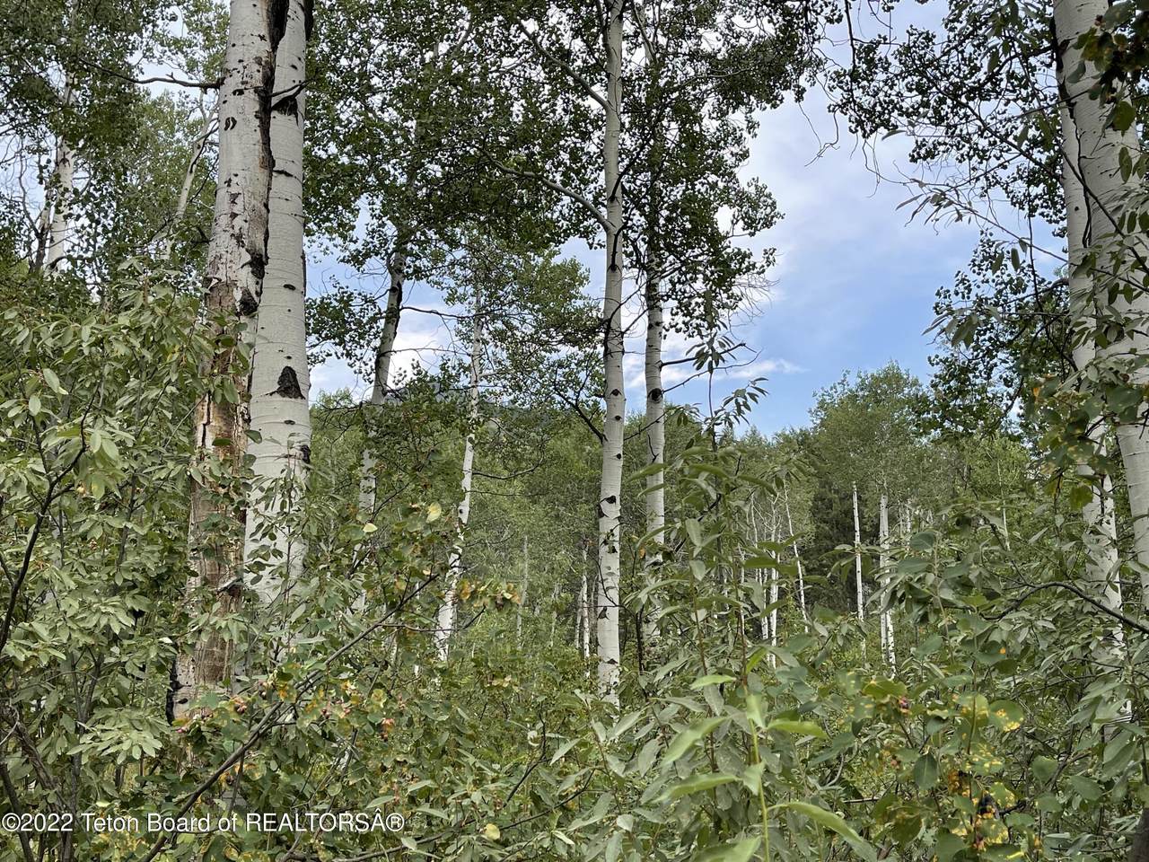 LOT 53 Alpenglow Drive - Photo 1