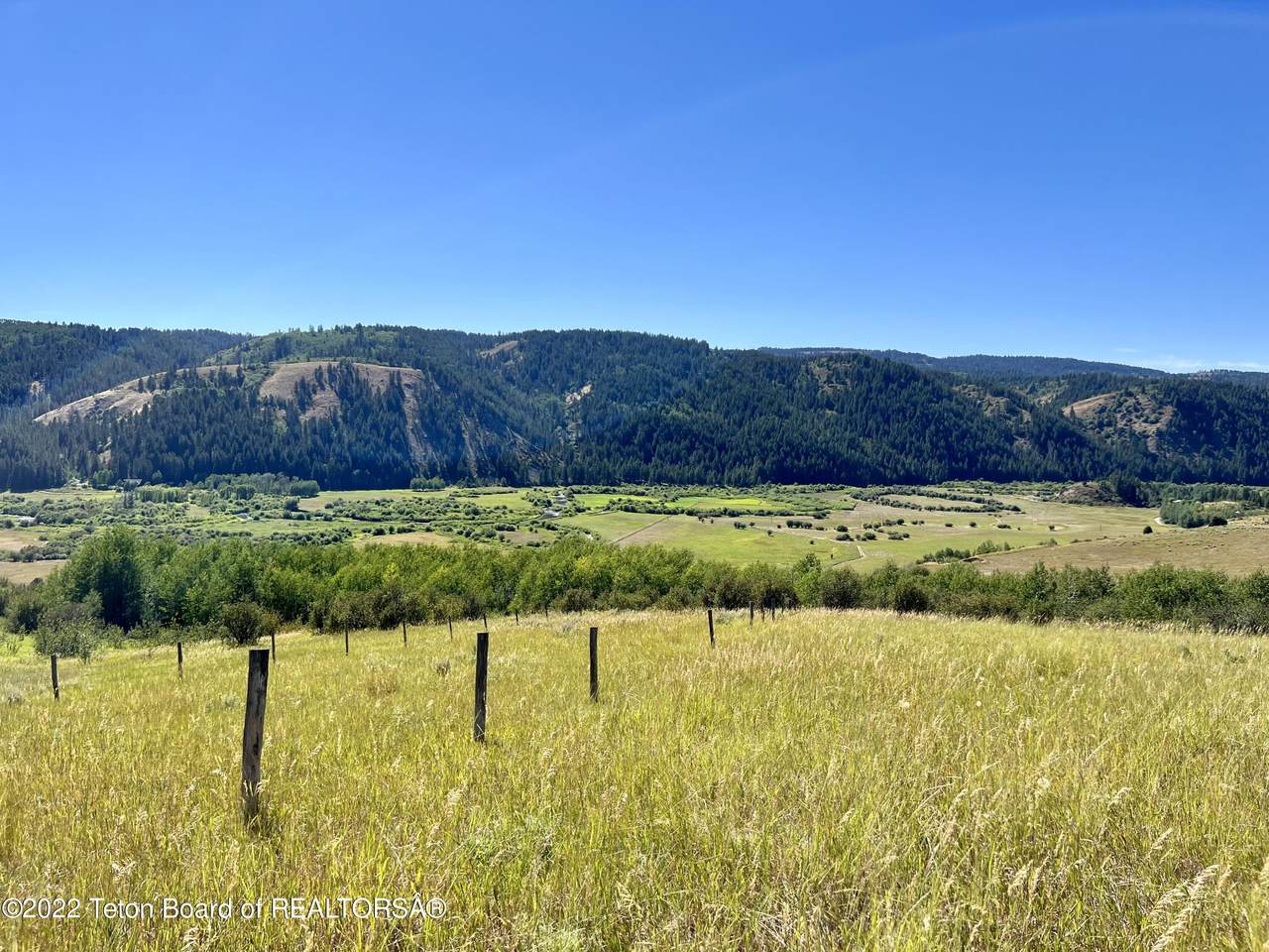 800 Strawberry Creek Rd - Photo 1