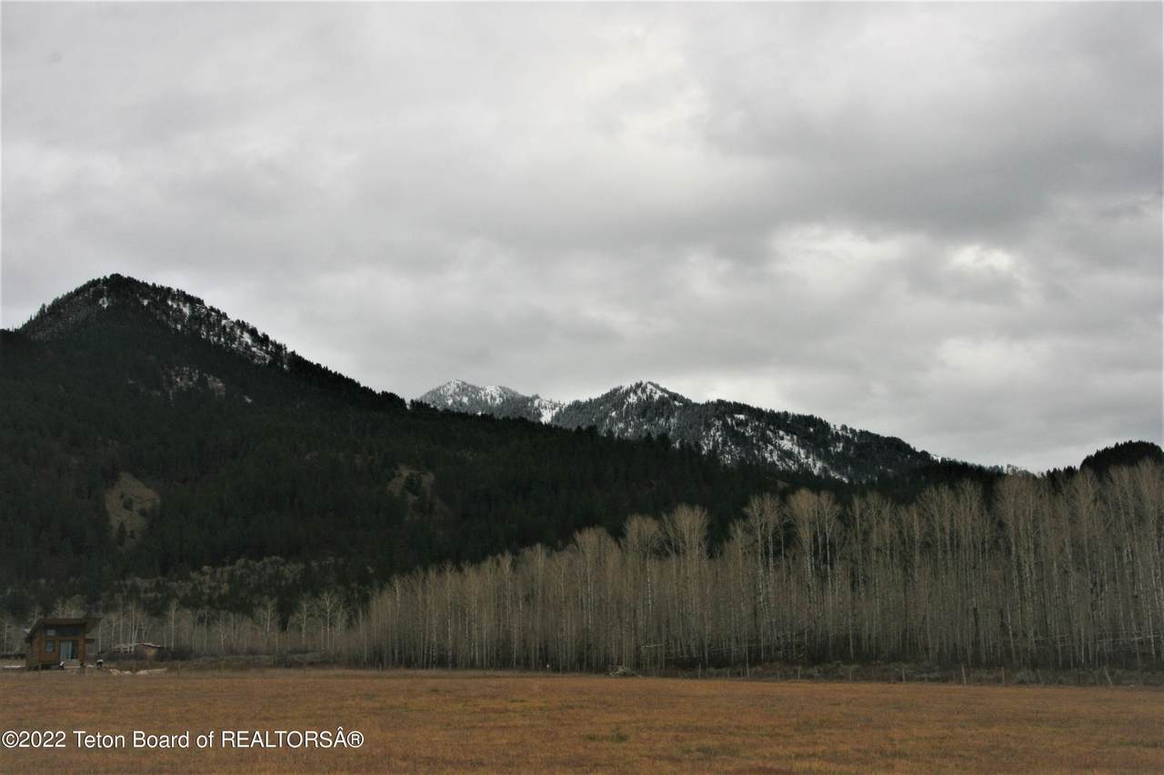 LOT 2 Stewart Trail Rd - Photo 1