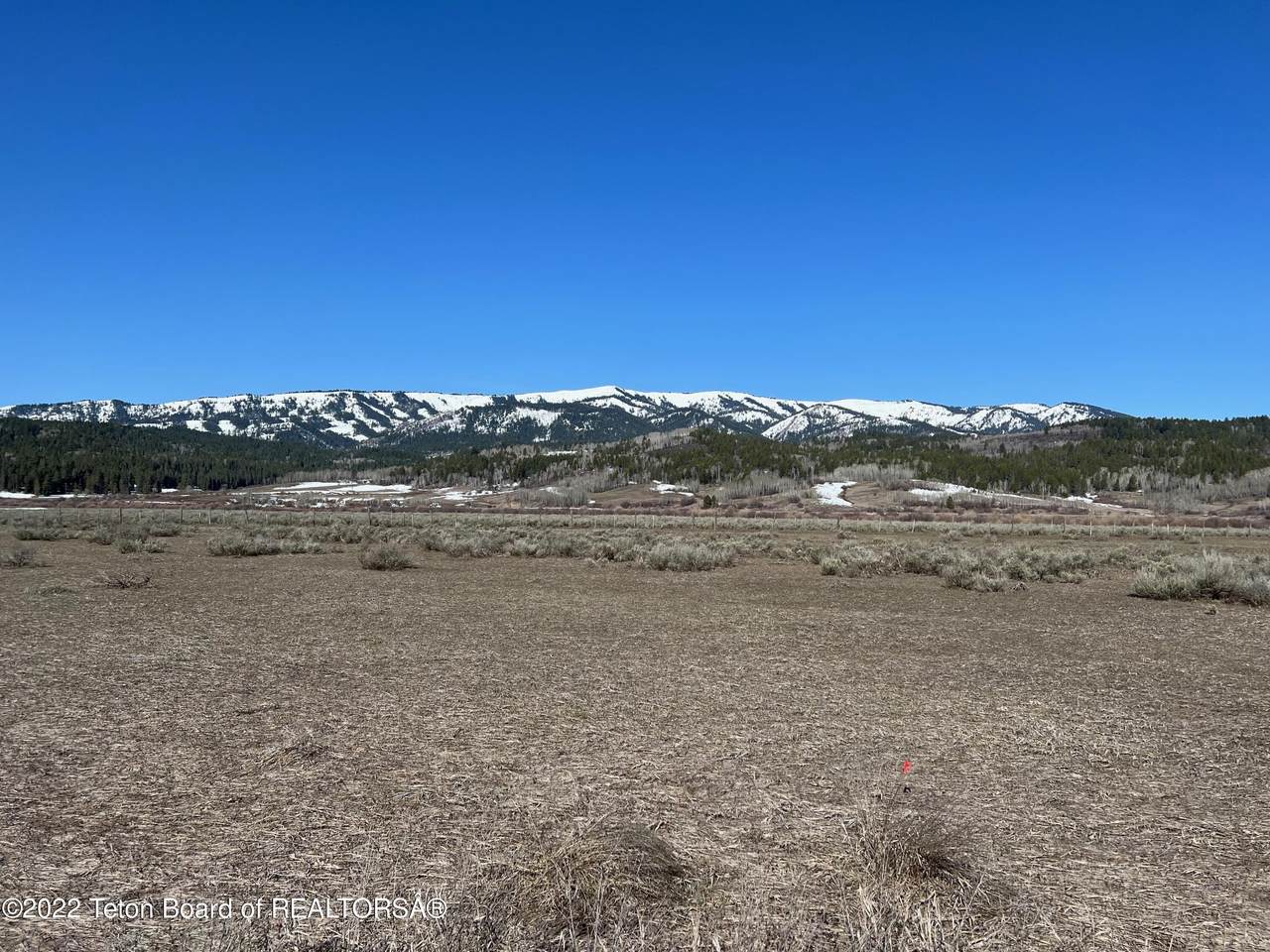Lot 20 Fox Trail - Photo 1