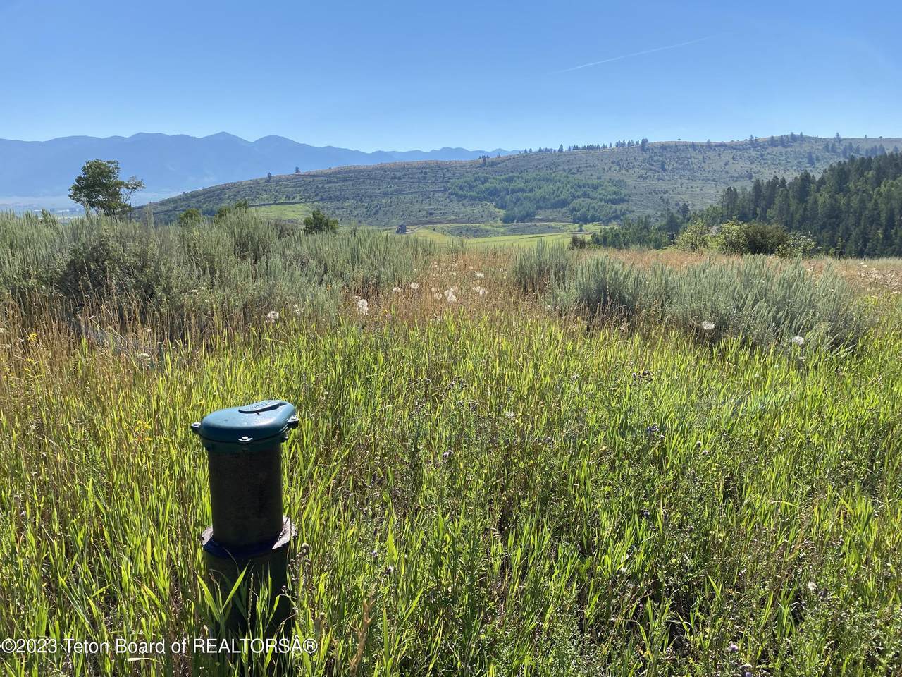 5 Grouse Loop Rd - Photo 1