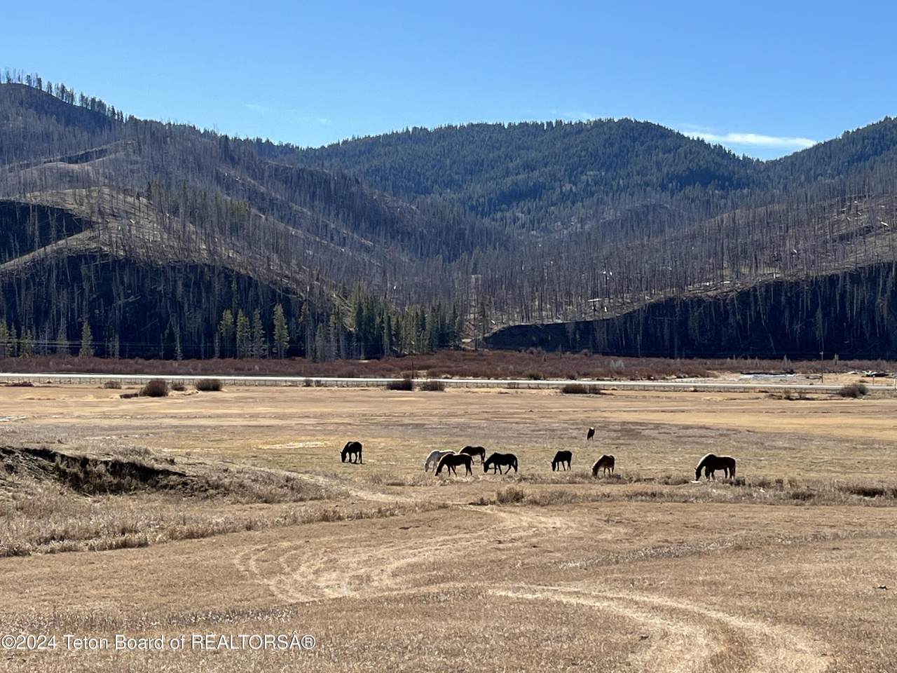 https://bt-photos.global.ssl.fastly.net/teton/1280_boomver_1_24-2729-2.jpg
