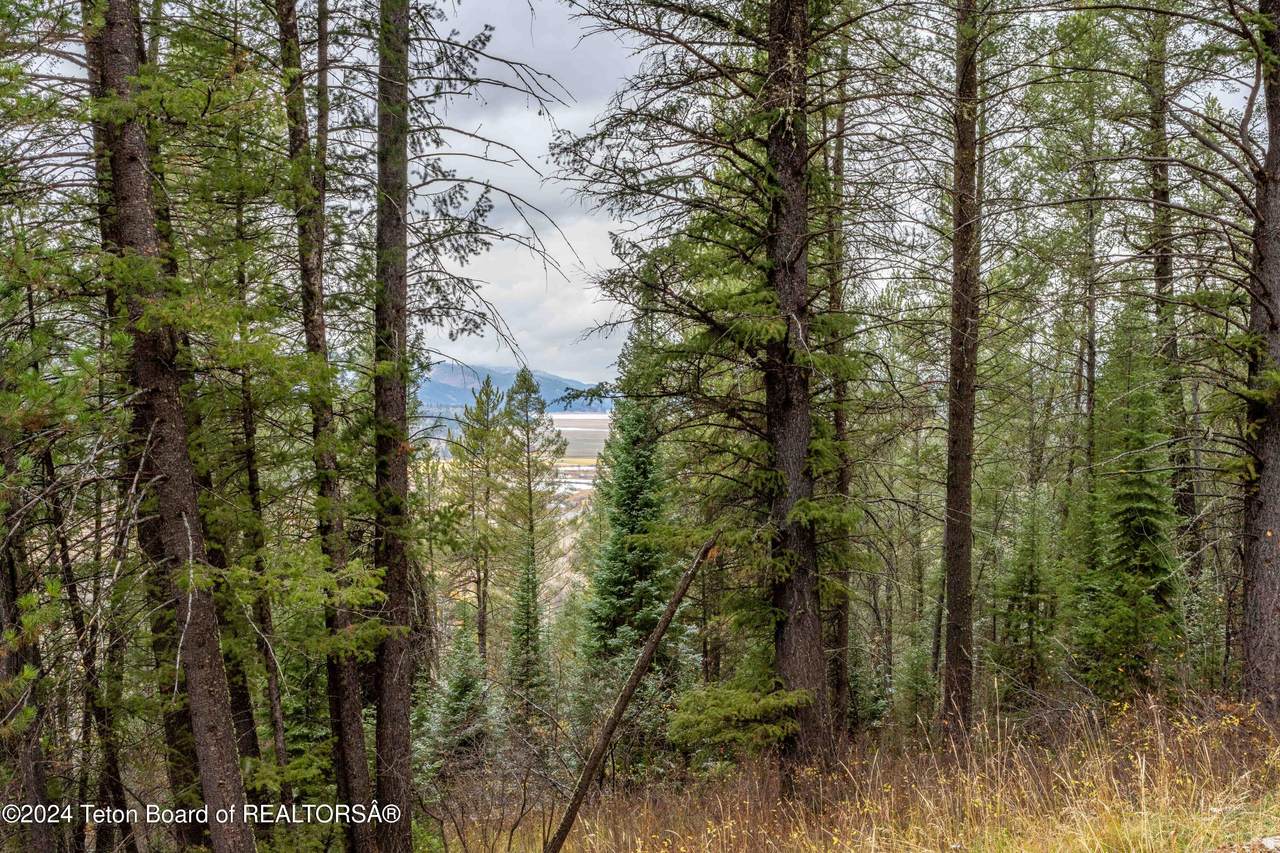 https://bt-photos.global.ssl.fastly.net/teton/1280_boomver_1_24-2733-2.jpg