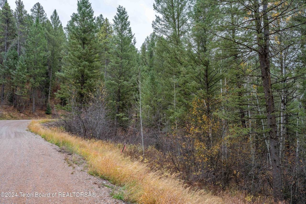 https://bt-photos.global.ssl.fastly.net/teton/1280_boomver_1_24-2733-2.jpg