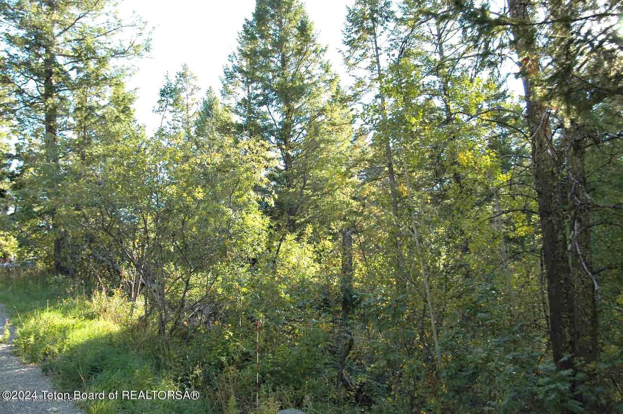 https://bt-photos.global.ssl.fastly.net/teton/1280_boomver_1_24-932-2.jpg