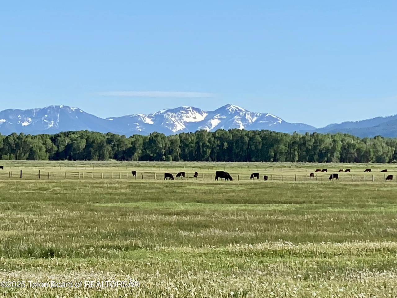 https://bt-photos.global.ssl.fastly.net/teton/1280_boomver_1_25-1052-2.jpg