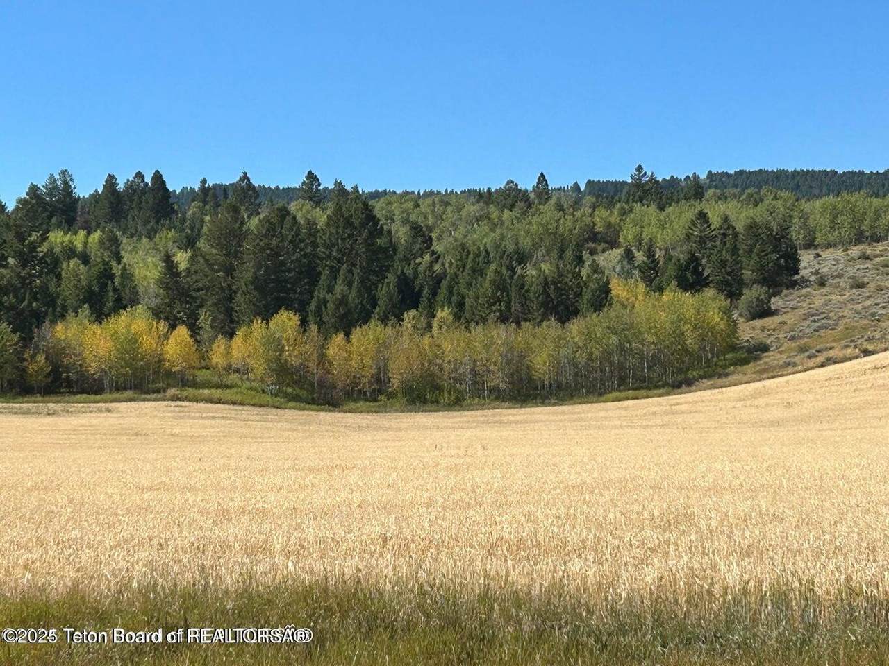 https://bt-photos.global.ssl.fastly.net/teton/1280_boomver_1_25-117-2.jpg
