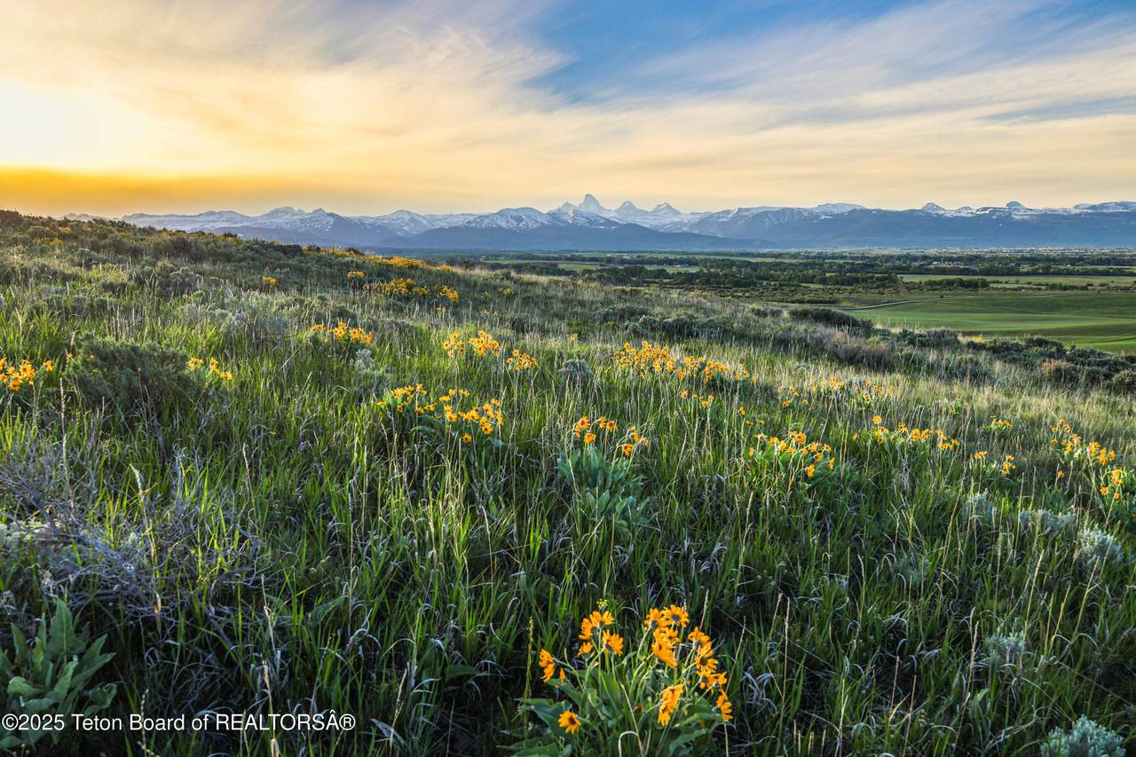 https://bt-photos.global.ssl.fastly.net/teton/1280_boomver_1_25-1318-2.jpg