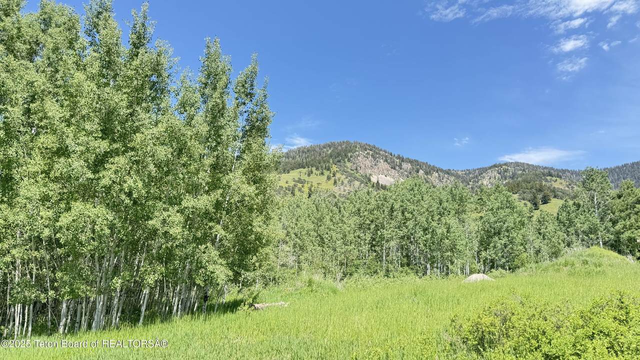 Lot 20 Dogwood Drive - Photo 1