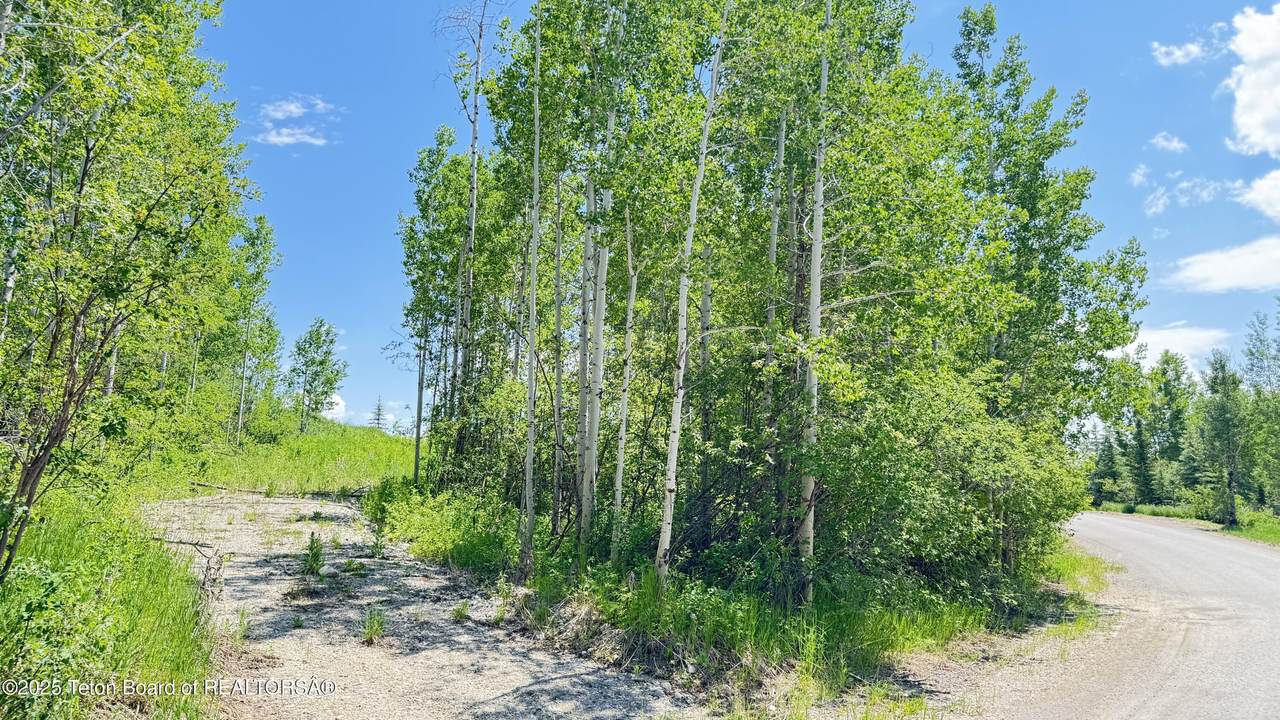 https://bt-photos.global.ssl.fastly.net/teton/1280_boomver_1_25-1446-2.jpg