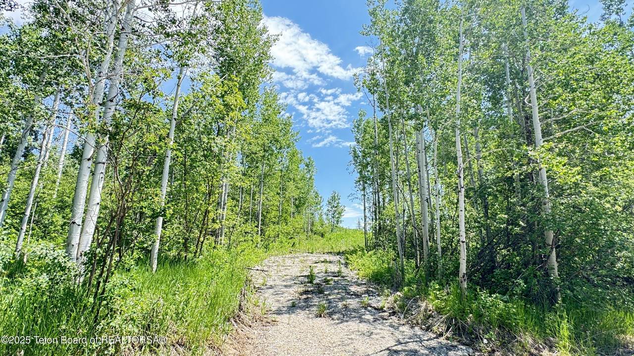 https://bt-photos.global.ssl.fastly.net/teton/1280_boomver_1_25-1446-2.jpg