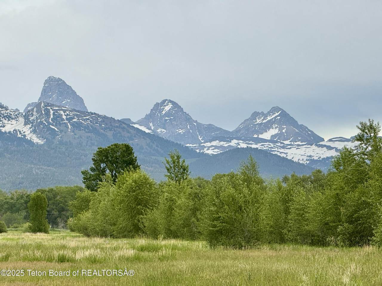 517 Granite Basin Loop - Photo 1