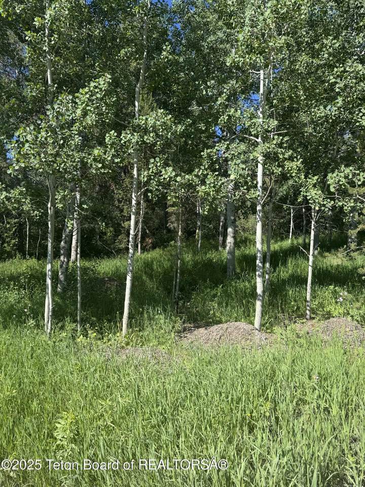 L22 Caribou Forest Drive - Photo 1