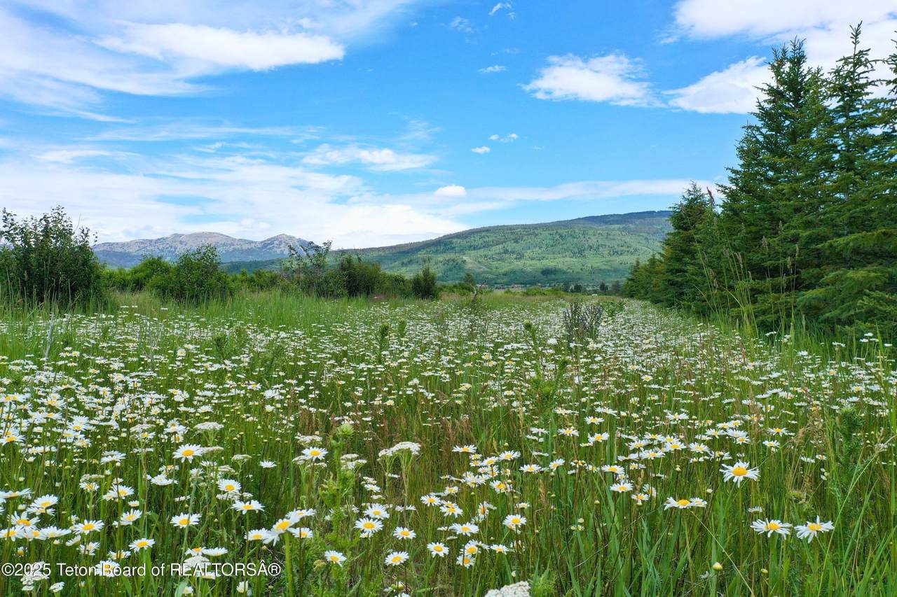 https://bt-photos.global.ssl.fastly.net/teton/1280_boomver_1_25-1668-2.jpg