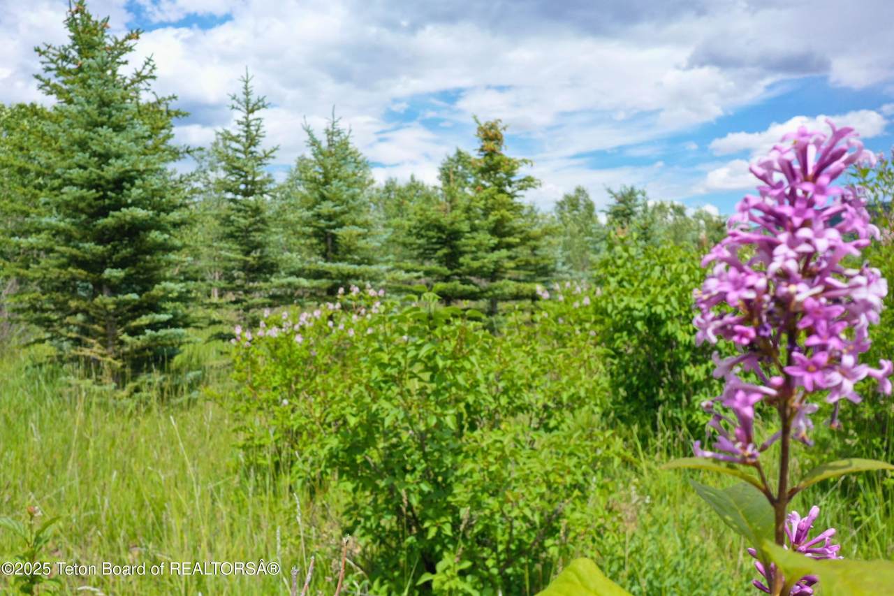 https://bt-photos.global.ssl.fastly.net/teton/1280_boomver_1_25-1669-2.jpg